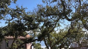 A residential area with houses, a sandy path, and trees. - 760 Ocean Boulevard #404 by Hodnett Cooper (St. Simons Island)
