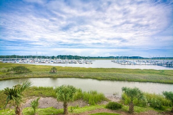 A marina with numerous boats docked, surrounded by grassy areas and palm trees. - 4316 7th Street by Hodnett Cooper (St. Simons Island)