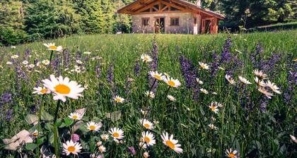 Wunderschöne Almhütte mitten in der Natur