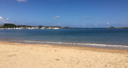 Pohjakerroksen huoneisto itsenäinen huvila