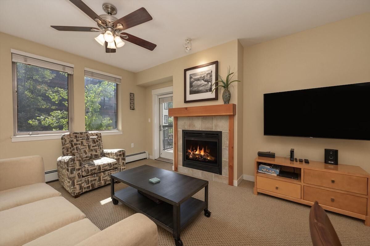 TV, fireplace