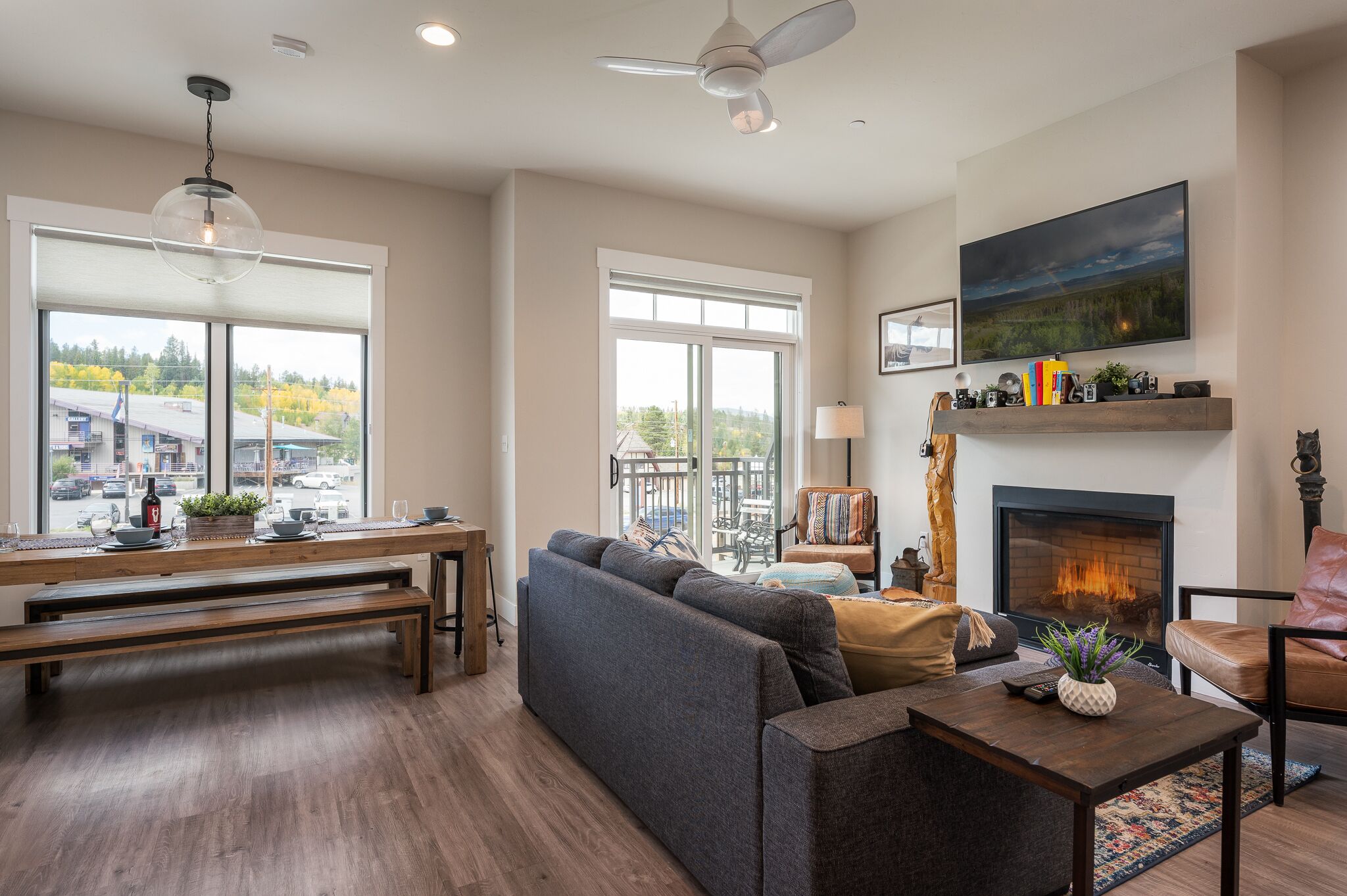 TV, fireplace, books