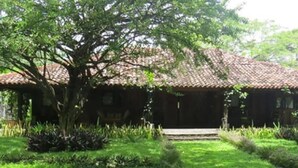 Vườn