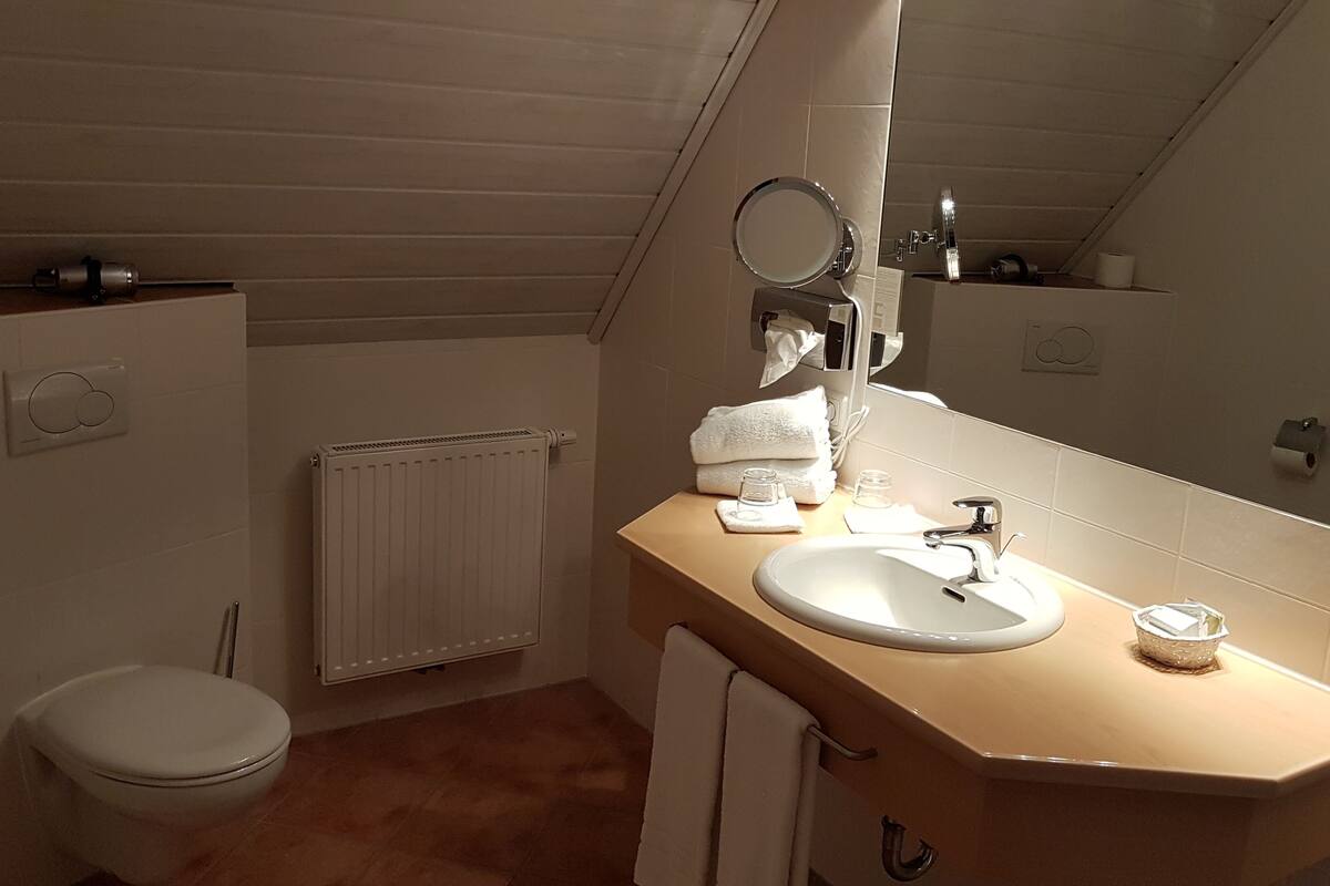 economy room | bathroom | shower, hair dryer, bathrobes, towels