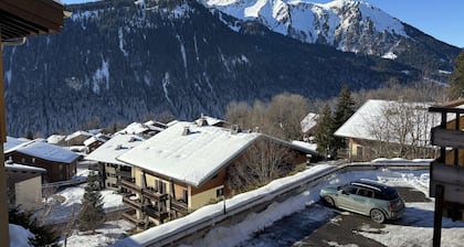 Yéti 6 n° 8 : appartement rénové au Petit Chatel