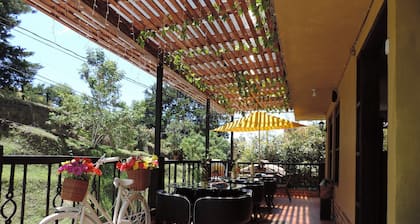 Oak Tree Hostel