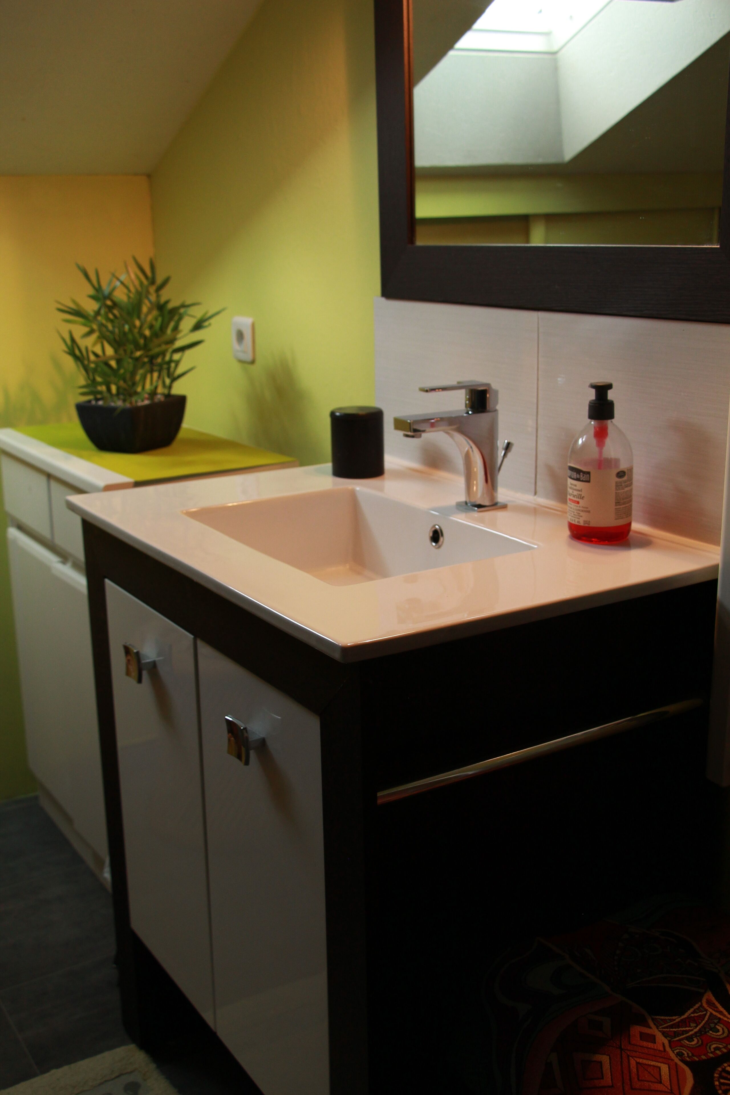 Une salle de bain avec un lavabo, un miroir et une plante en pot posée sur le comptoir.