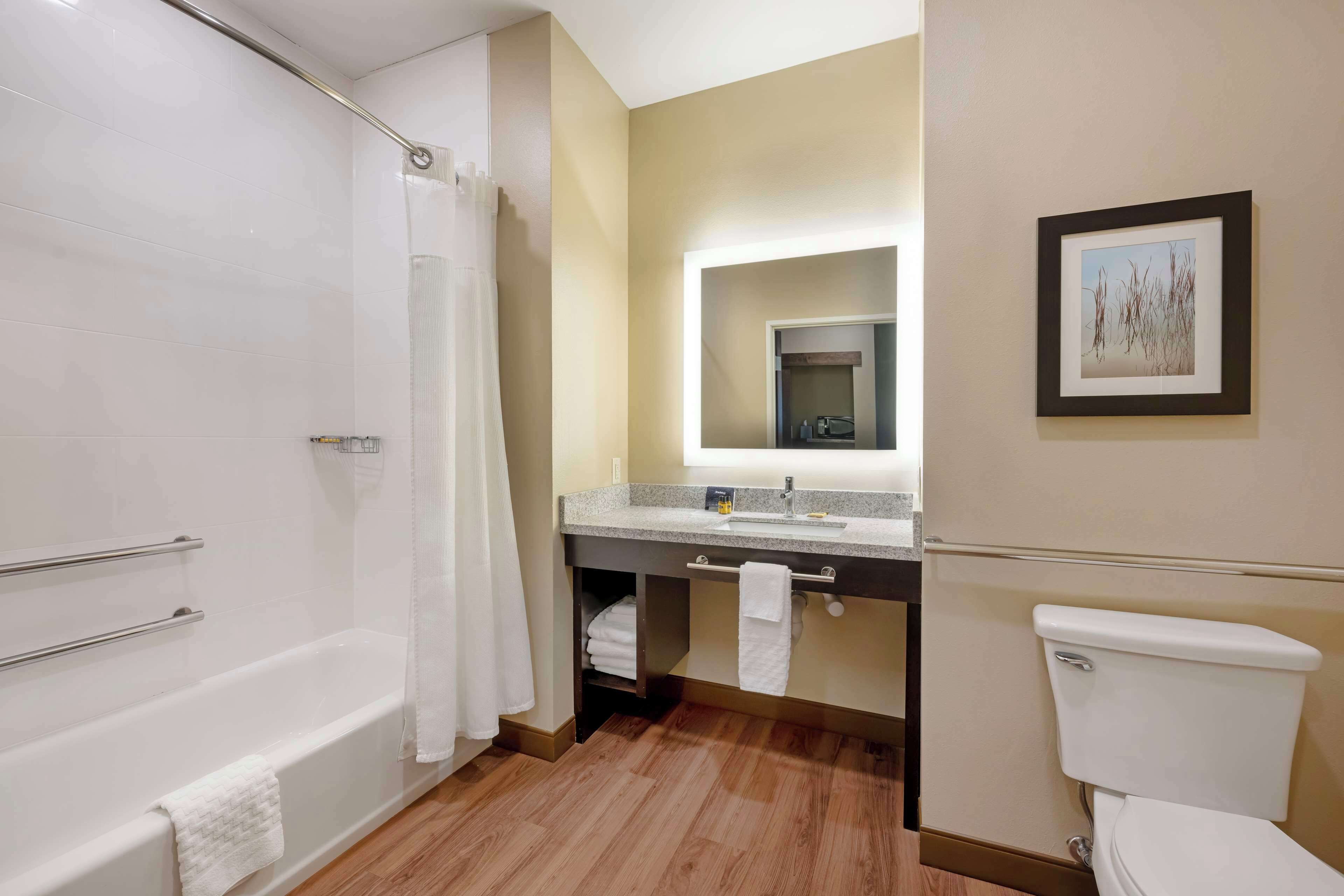 A modern bathroom with a bathtub, shower, toilet, and a vanity with a mirror.