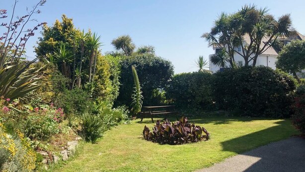 A garden with a bench, various plants, and a building in the background.