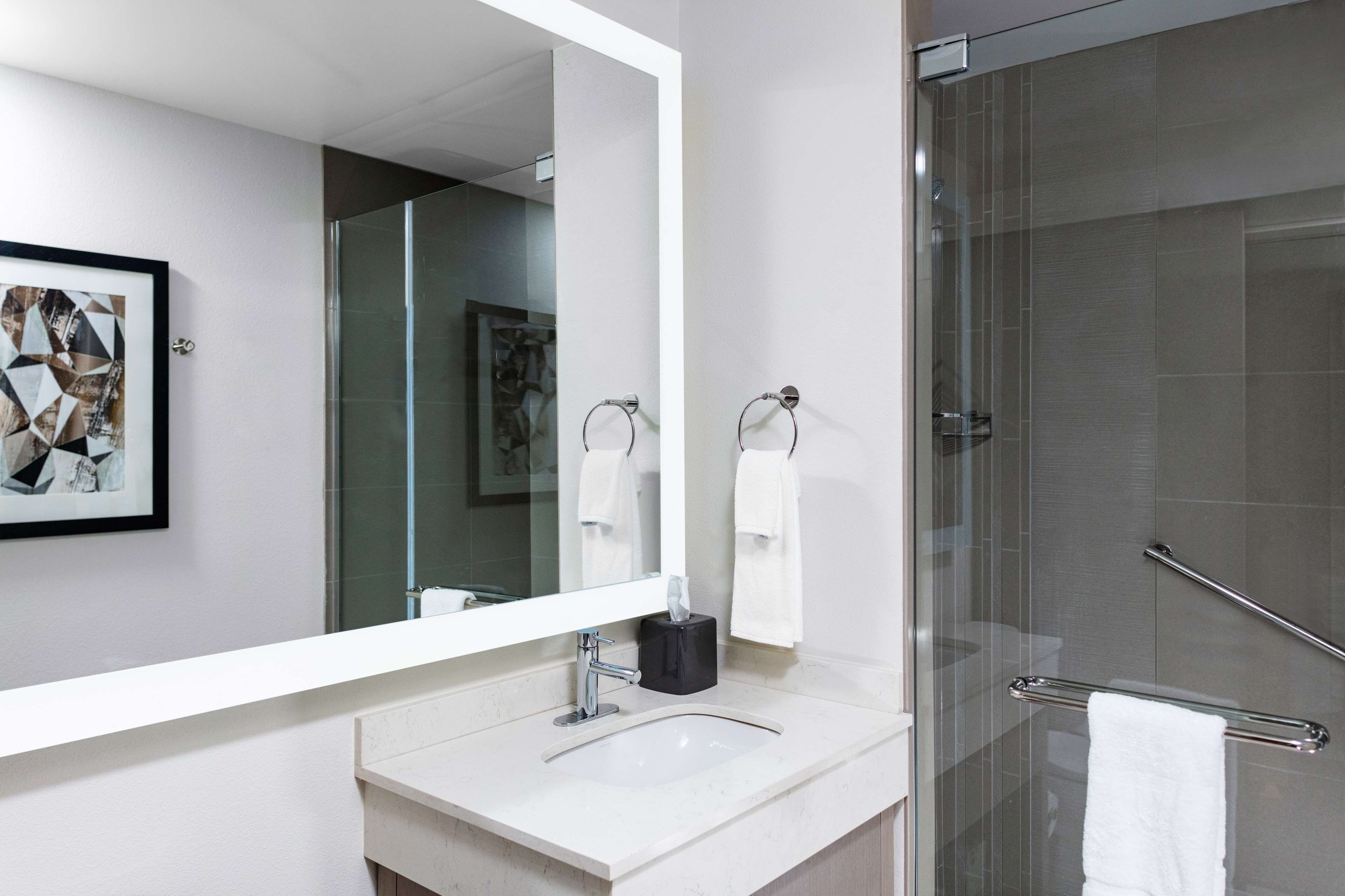 combined shower/bathtub, free toiletries, hair dryer, towels