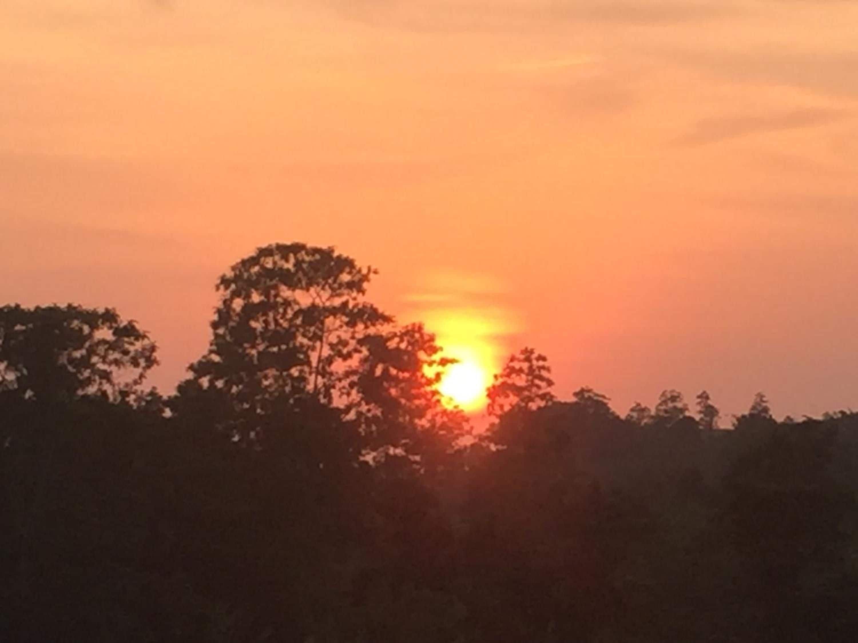 Een zonsondergang, waarbij de zon gedeeltelijk achter bomen verstopt is.
