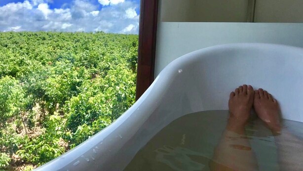 Uma banheira com vista para uma paisagem verde exuberante.
