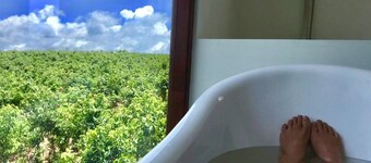 Bobos Cinnamon Estate Sri Lanka