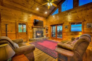 电视、壁炉、DVD 播放器