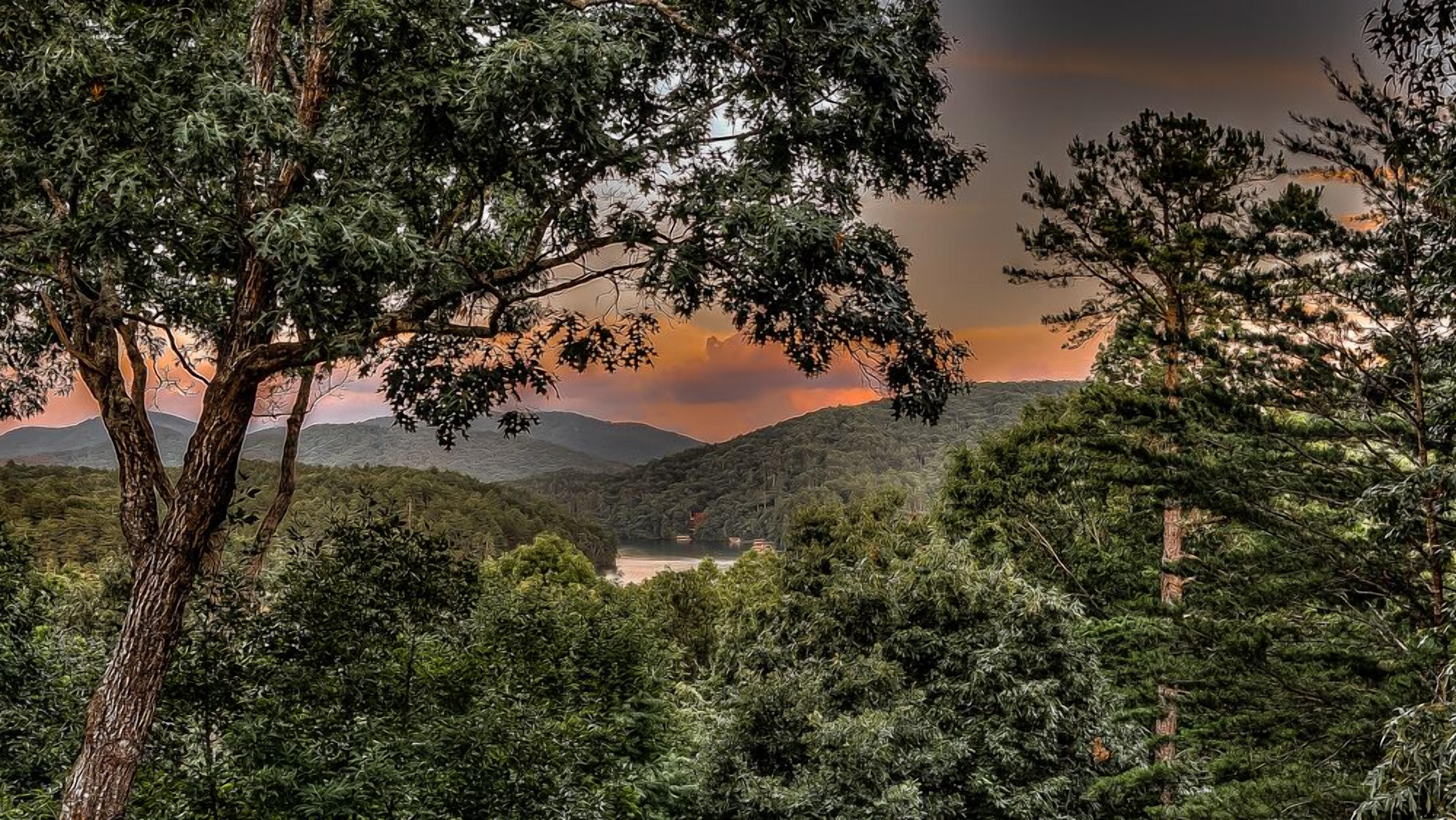 Bearway to Heaven- Pet Friendly - 5 BDR~ Aska Adventure Area~Hot Tub~Fire Pit