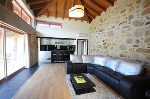 TV, fireplace, books