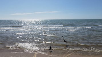 På stranden