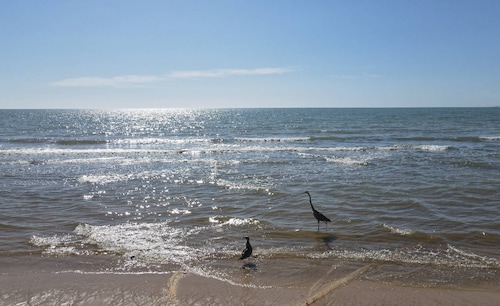 InTown Beach Front Condo - Casey`s Eigentumswohnung 1