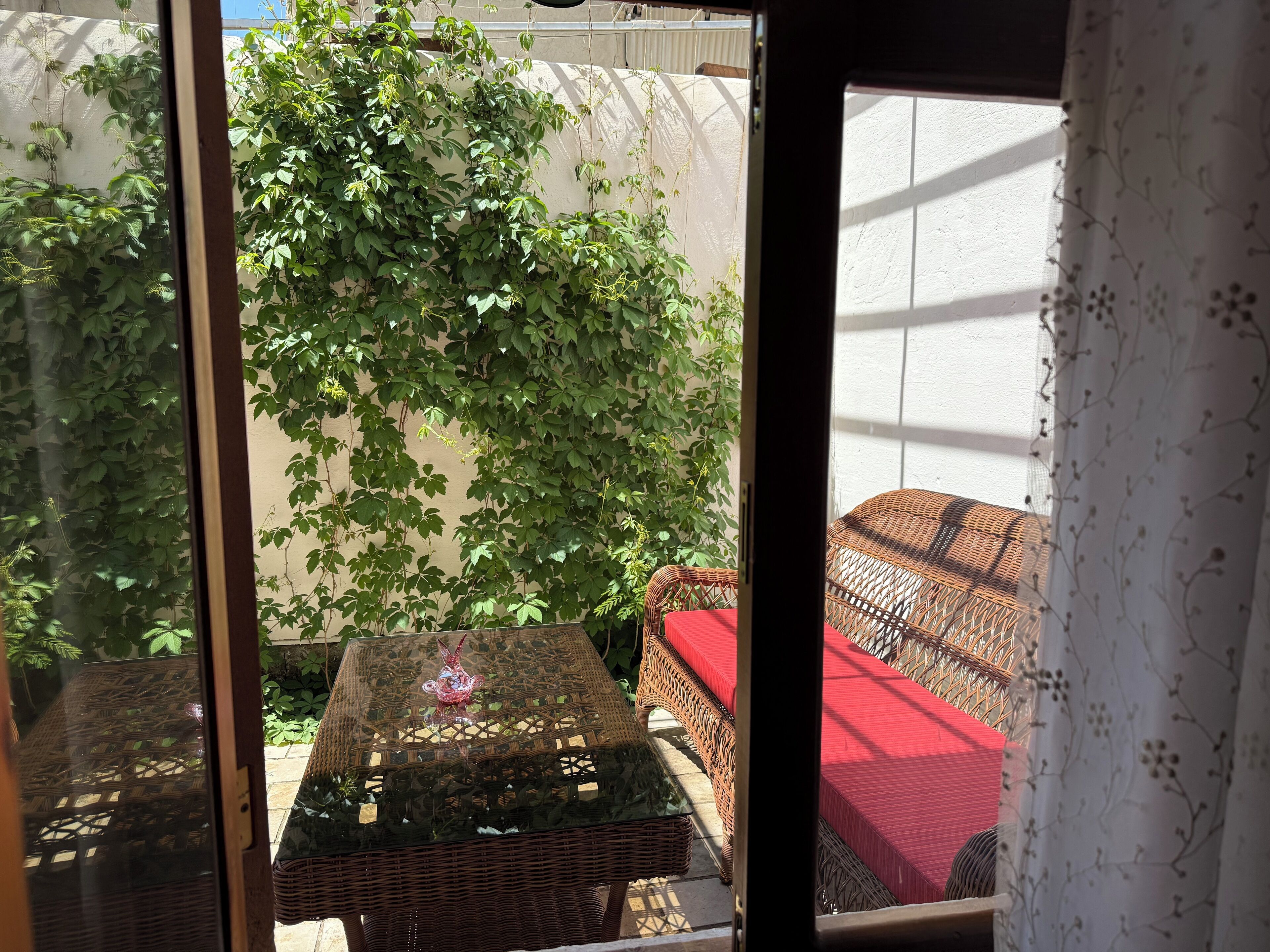 A wicker table with a glass top and a red cushion, a wicker chair, and a wall covered with green ivy.