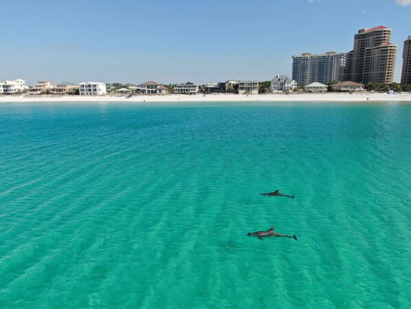 Beach nearby, sun-loungers, beach towels