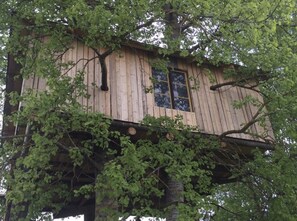 A treehouse with a wooden exterior, a window, and a tree trunk supporting it. - Treehouse Magpies Nest With Bubble Pool (Avesta)