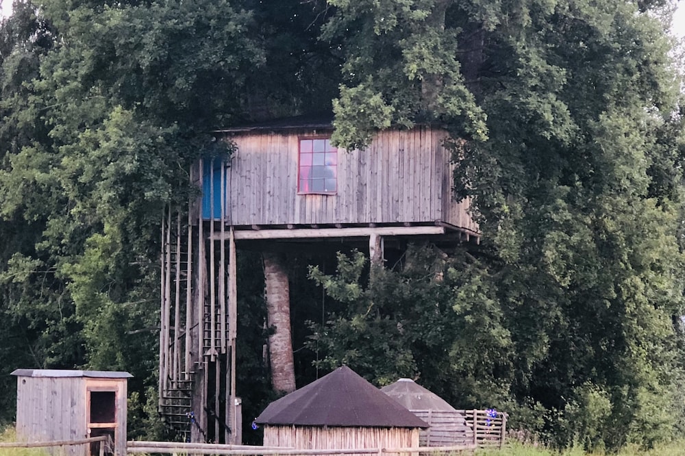 Treehouse Magpies Nest With Bubble Pool