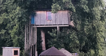 Treehouse Magpies Nest With Bubble Pool