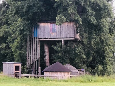 Treehouse Magpies Nest With Bubble Pool