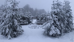 A snow-covered landscape with a wooden fence and snow-laden trees. - Treehouse Magpies Nest With Bubble Pool (Avesta)