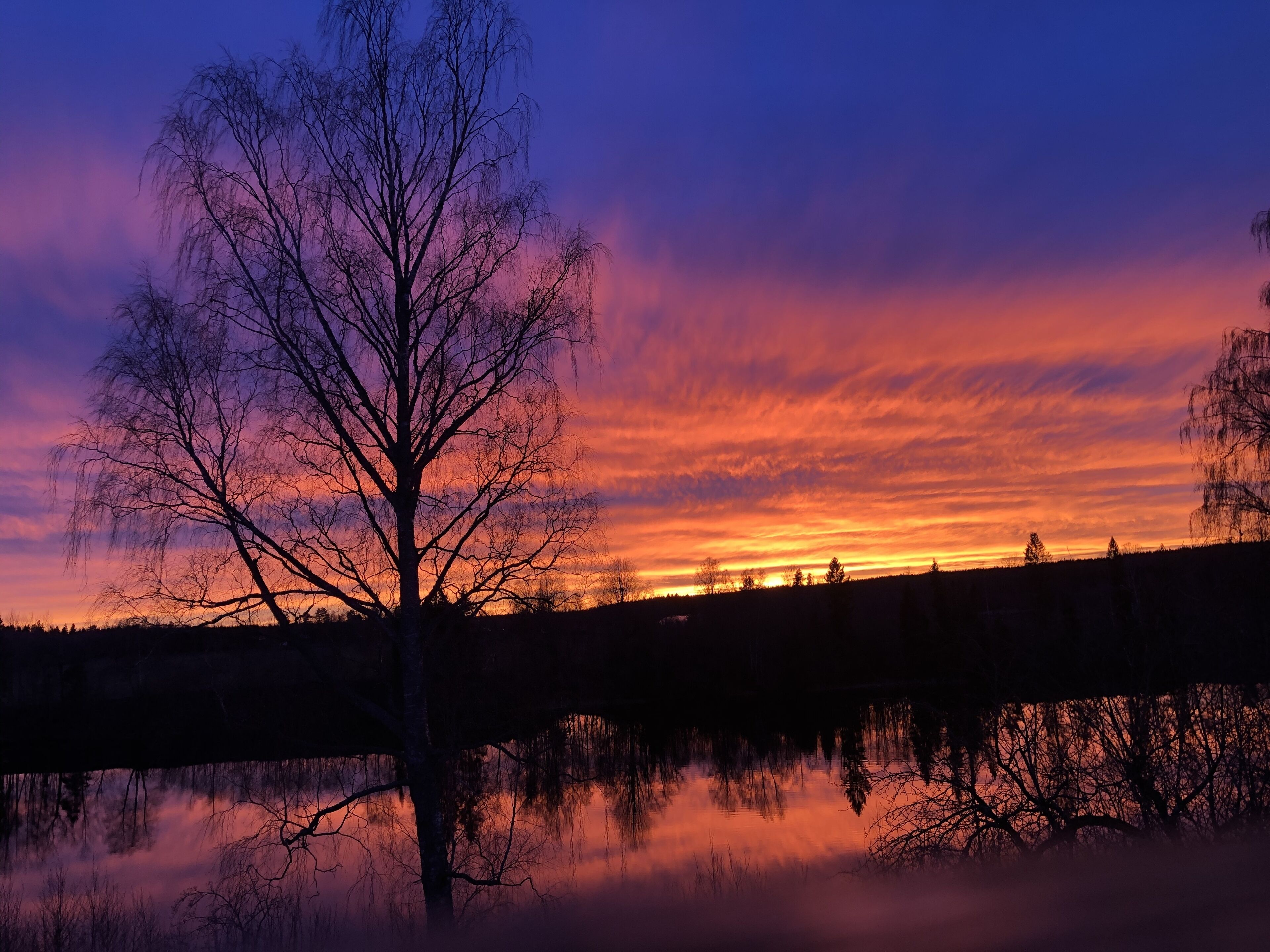 Un árbol silueteado contra un cielo de atardecer, con una masa de agua tranquila que refleja los colores del cielo.