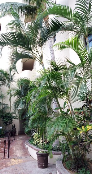 Overnattingsstedets uteområder