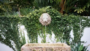 Una fuente de piedra con escultura de cabeza de león, rodeada de abundante follaje y una pared blanca.