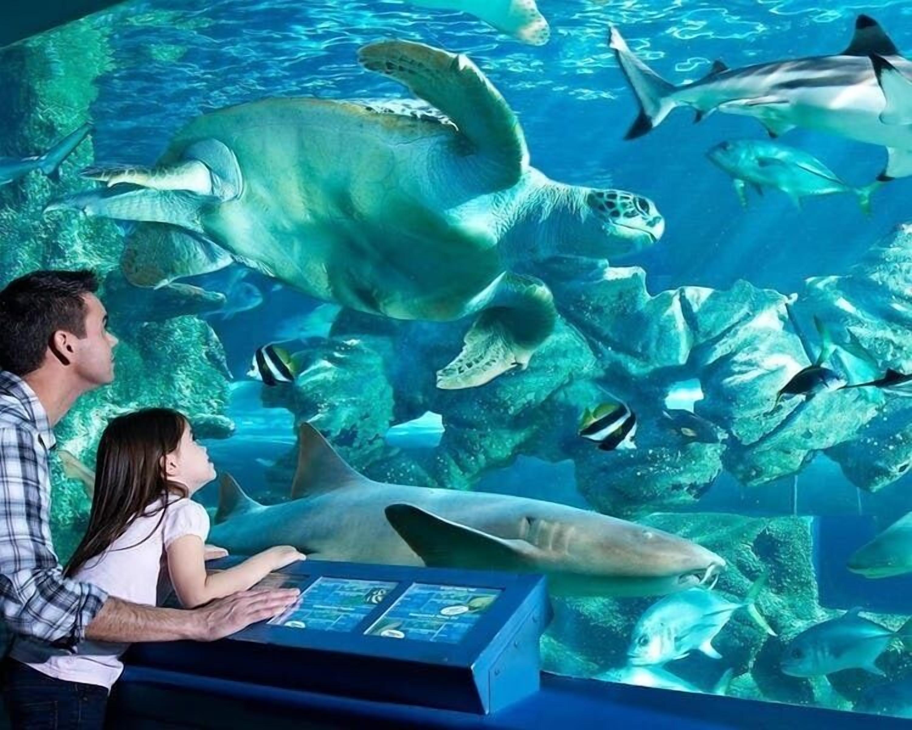 Photo - Mount Stuart Hotel