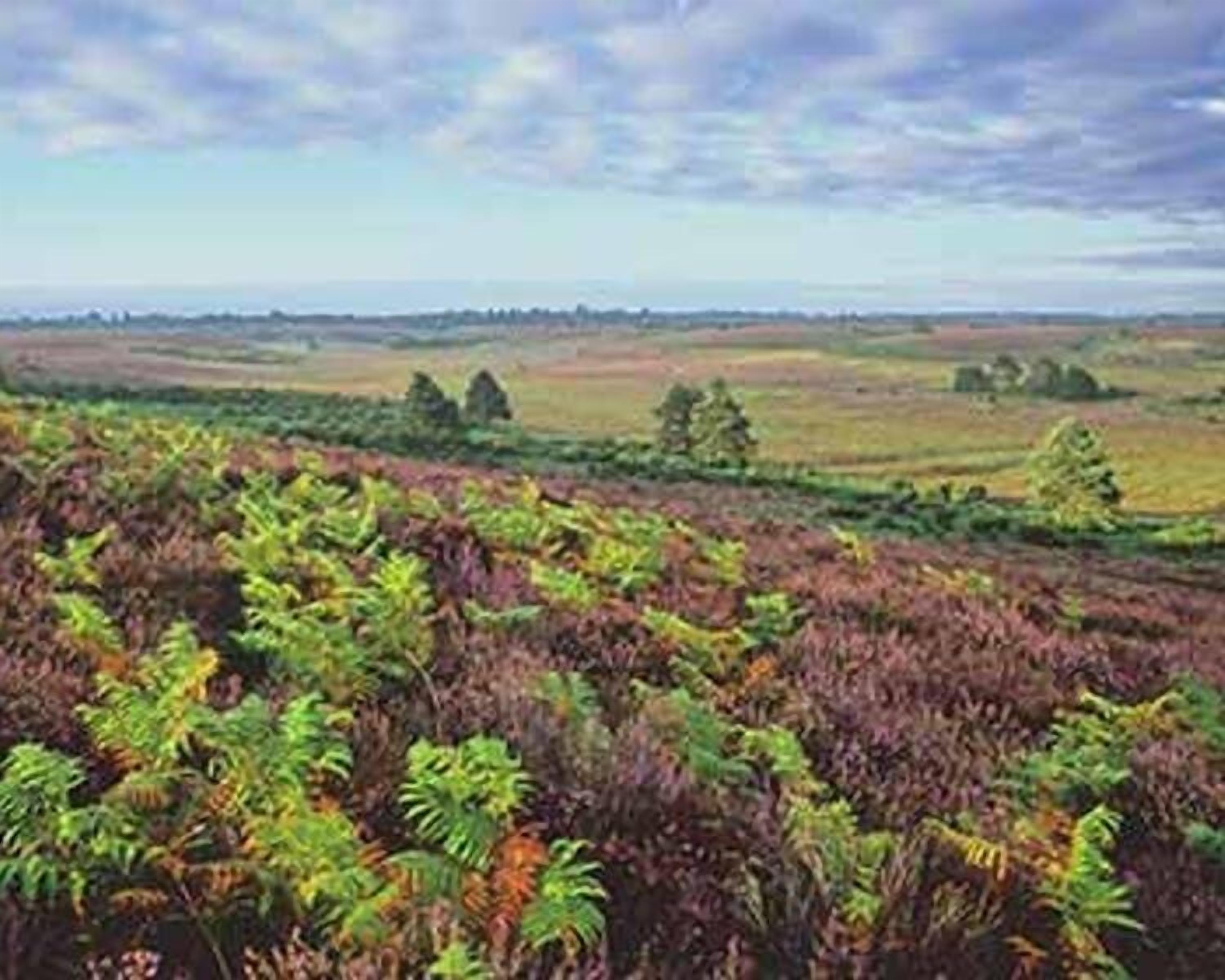 Photo - Mount Stuart Hotel