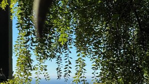 A view through a wooden lattice fence with greenery, overlooking a coastal area with boats and a distant landmass. - Private Studio , spectacular  Ocean View , bathroom , kitchenette, Very Quiet (Half Moon Bay)