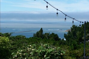 Beach nearby, beach towels - Private Studio , spectacular  Ocean View , bathroom , kitchenette, Very Quiet (Half Moon Bay)