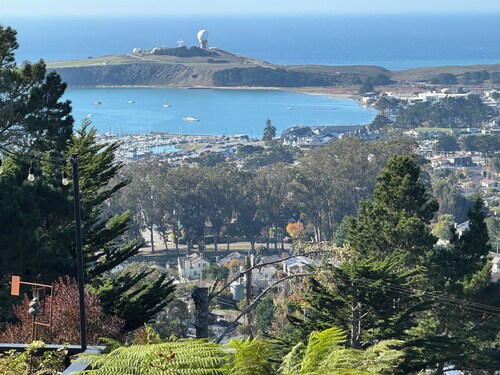 Private Studio , spectacular  Ocean View , bathroom , kitchenette, Very Quiet