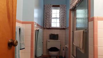 A small bathroom with a toilet, a window with patterned curtains, and a shower area.