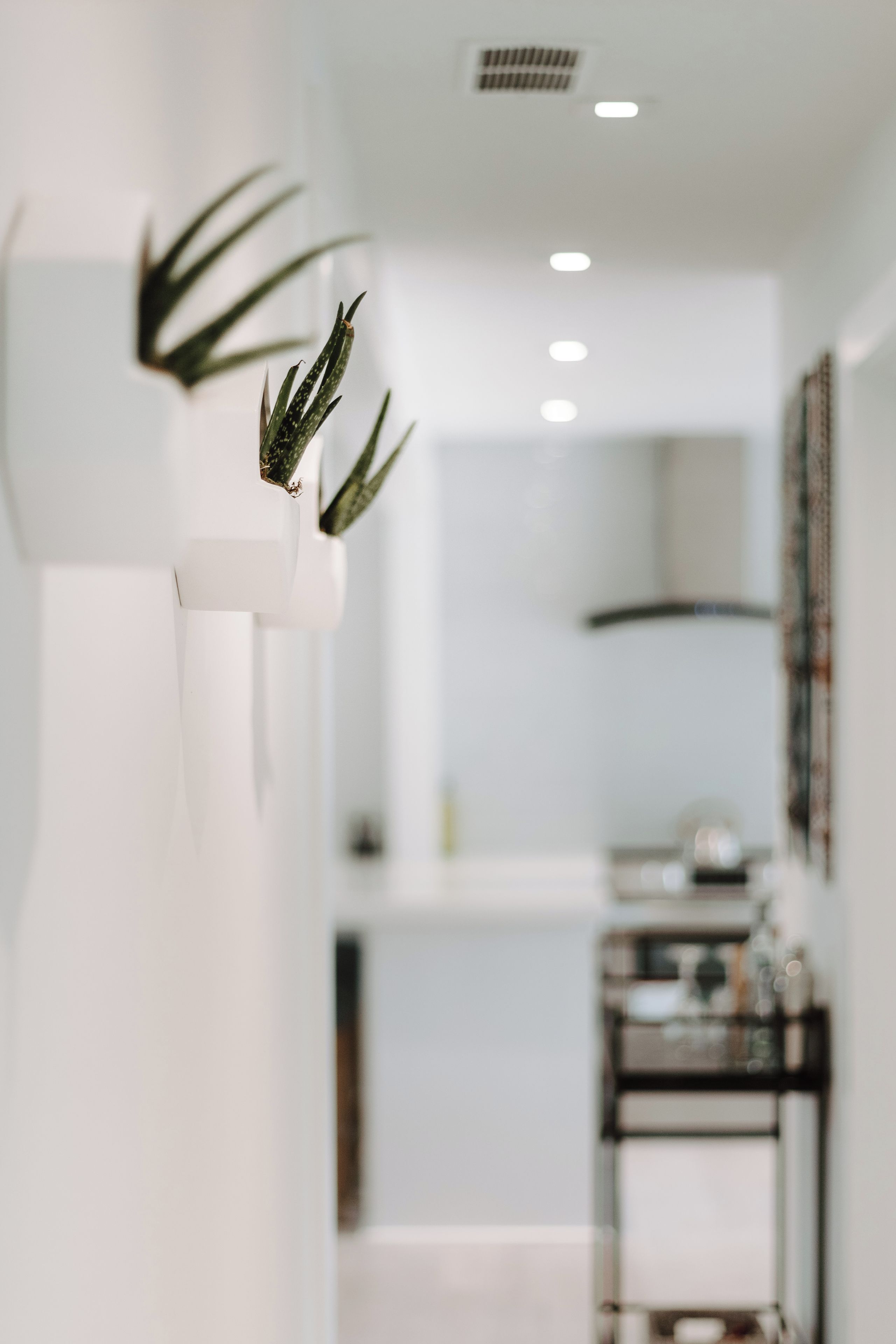 A modern interior with a white wall, a plant in a white planter, and a kitchen area in the background.