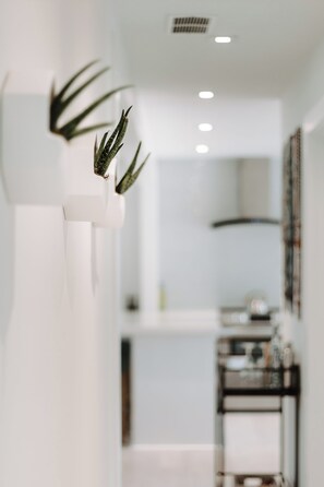 A modern interior with a white wall, a plant in a white planter, and a kitchen area in the background.