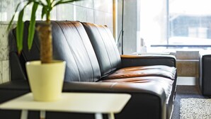 A modern lounge area with a leather sofa, a small table, and a potted plant. - The Phat Packers - Hostel (Otari)