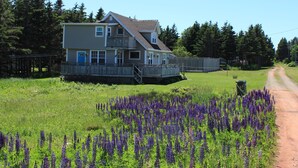 A two-story house with a porch and a dirt road leading to it.