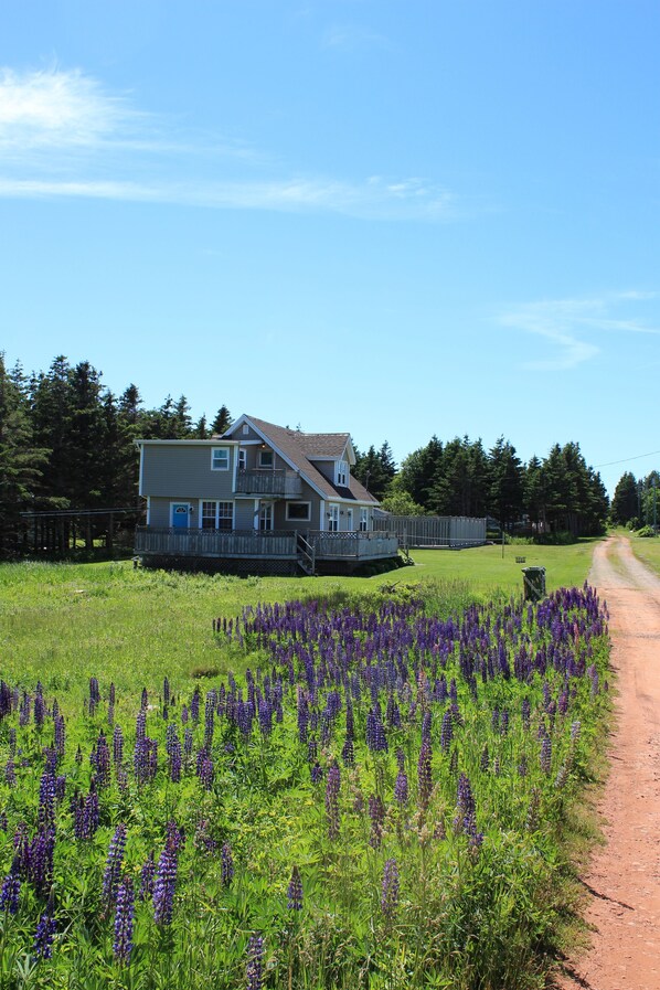 A two-story house with a porch and a dirt road leading to it. - Beach Haven - 17 Rocky Lane (Mount Stewart)