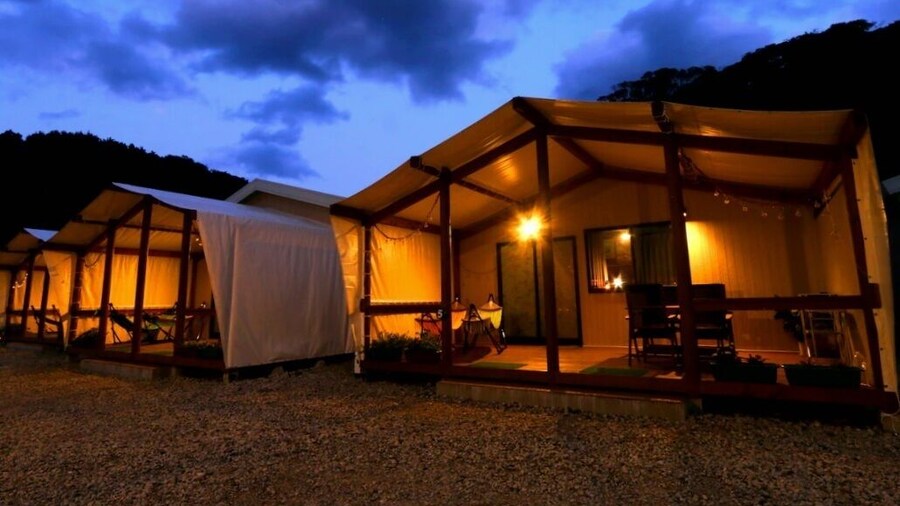 Sloth Glamping
