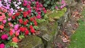 Um jardim com diversas flores coloridas e um muro de pedra.