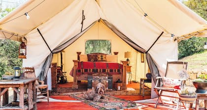 River View Condo in the Wilma