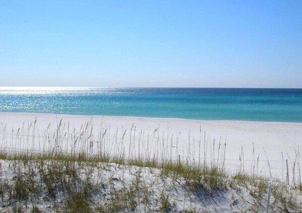 Playa