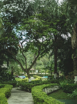Um jardim exuberante com um caminho que leva a uma área de piscina.