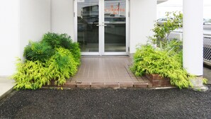 Entrada de un edificio con puerta de cristal, un toldo y plantas en macetas.