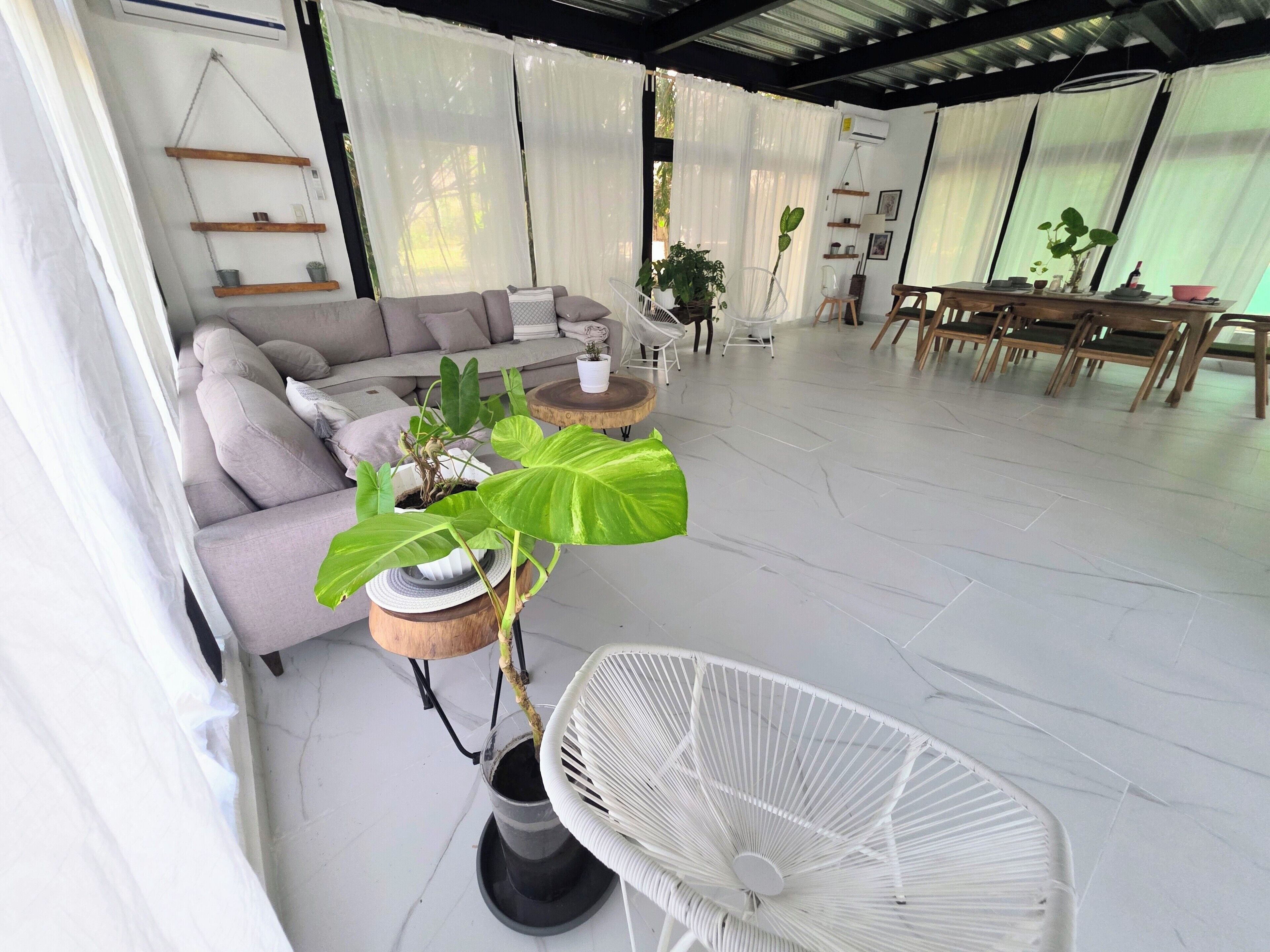 A modern living room with a sofa, a dining table, and various potted plants.